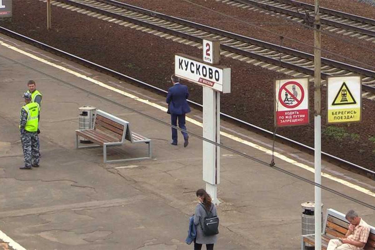 Пёс по кличке Стэтхэм задержал вора, преследуя его несколько километров Пёс по кличке Стэтхэм задержал вора, преследуя его несколько километров