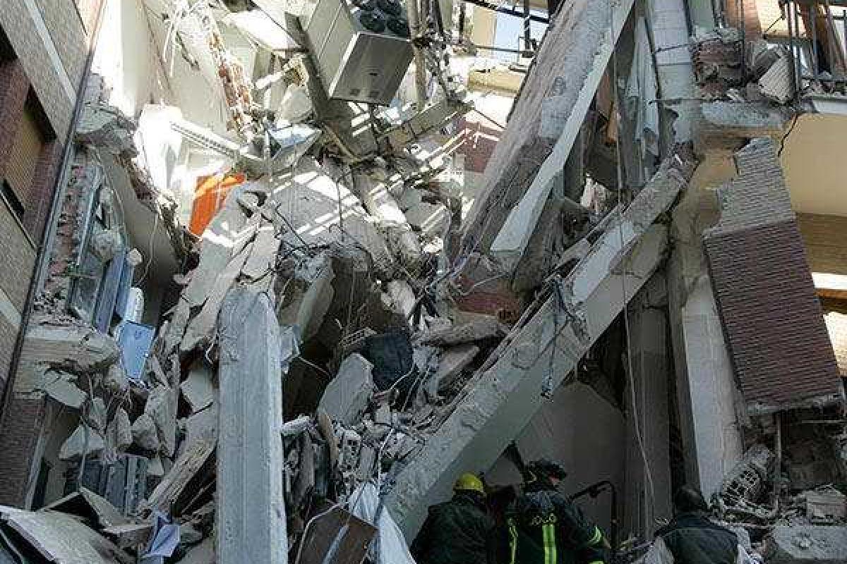 В Италии собака чудом выжила спустя 9 дней под завалами после землетрясения В Италии собака чудом выжила спустя 9 дней под завалами после землетрясения