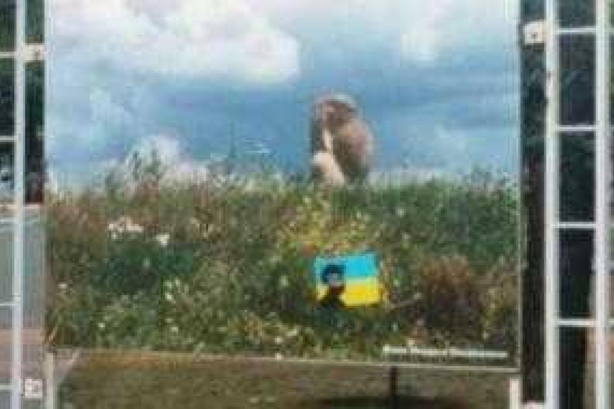 В Донецке местные партизаны провели очередную проукраинскую акцию