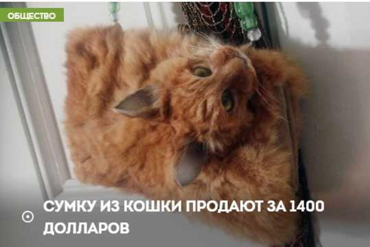В интернете продают сумку из кошки: защитники животных шокированы 