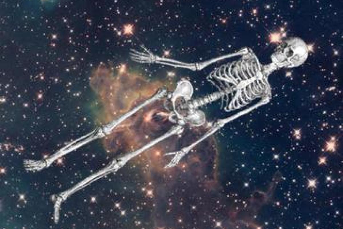 Ученые хотят отправить в космос труп человека