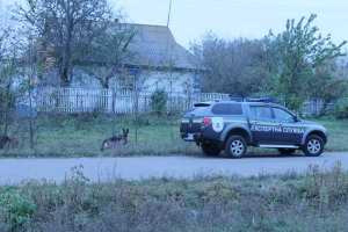 В Винницкой области поймали жестокого маньяка, который изнасиловал и убил старушку