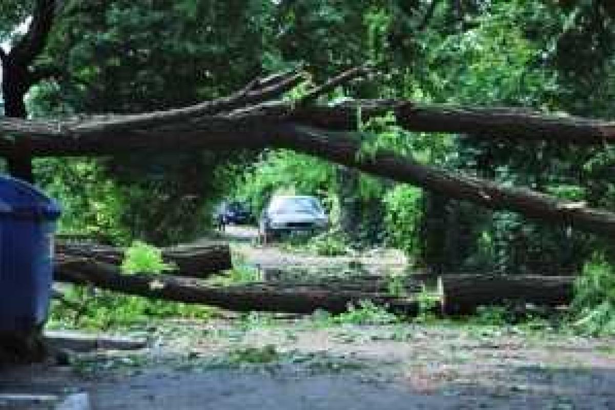 В Одессе произошла страшная трагедия: 11-летняя девочка погибла, наступив на оборванный ветром кабель В Одессе произошла страшная трагедия: 11-летняя девочка погибла, наступив на оборванный ветром кабель