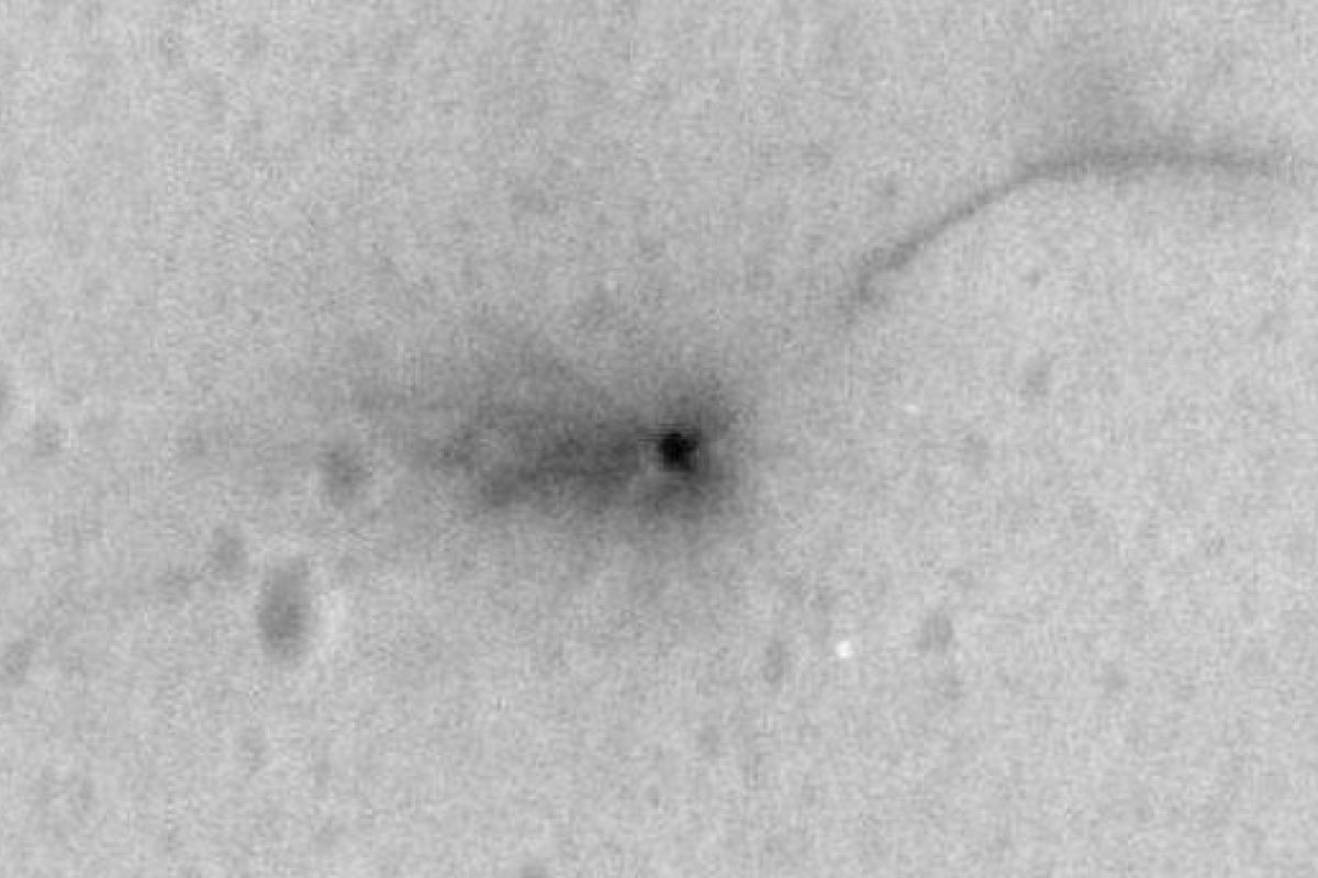 Возле разбитого аппарата Скиапарелли на Марсе обнаружили странные пятна