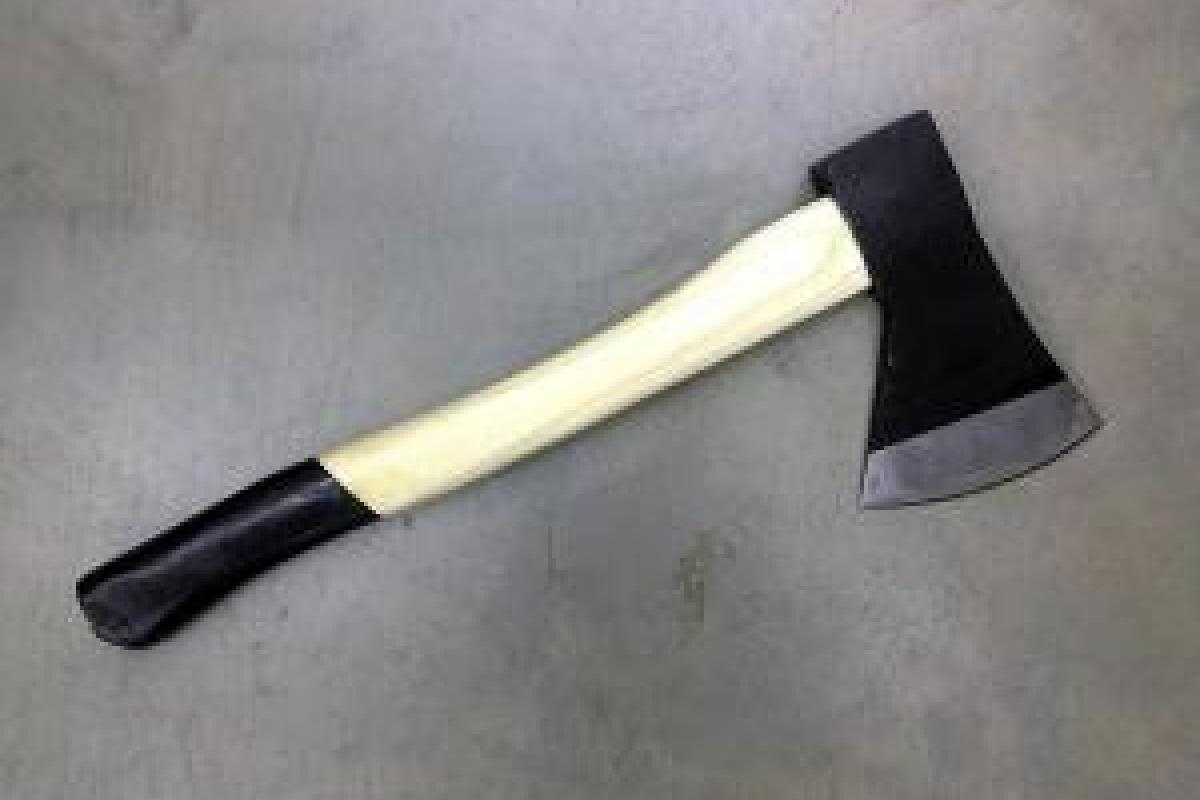 Жуткое убийство: Пенсионерка зарубила спящего мужа и ударила топором маленьких внуков Жуткое убийство: Пенсионерка зарубила спящего мужа и ударила топором маленьких внуков