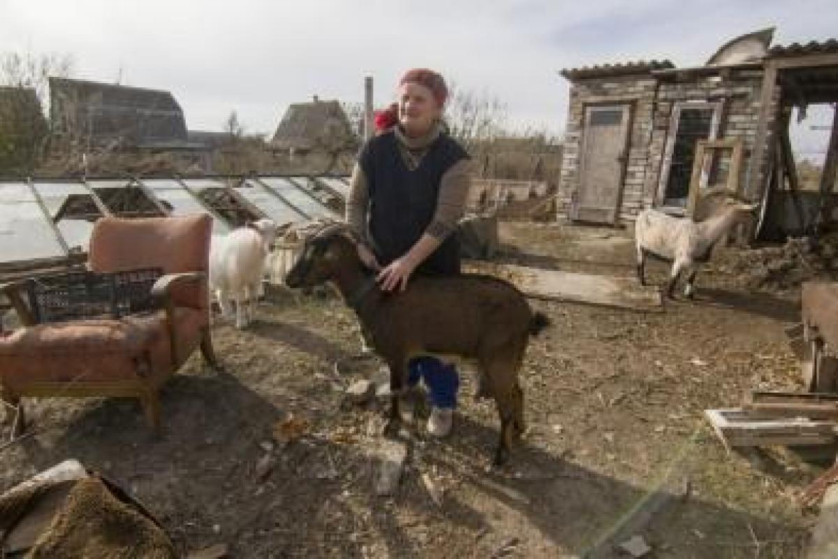 Жизнь в зоне АТО: баба Зоя из Водяного рассказала, как ее при обстрелах спасают козы