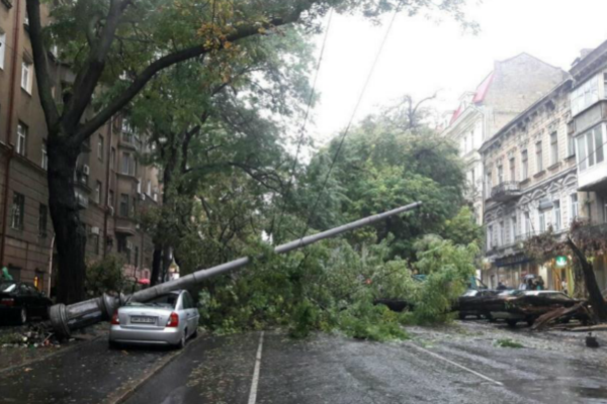 В Одессе страшная непогода: падают деревья и столбы, разрушены автомобили В Одессе страшная непогода: падают деревья и столбы, разрушены автомобили