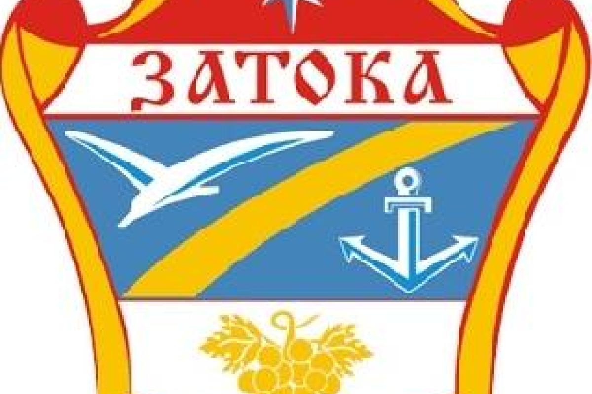 Группа титушек захватила поссовет в Затоке, - Погорелый Группа титушек захватила поссовет в Затоке, - Погорелый