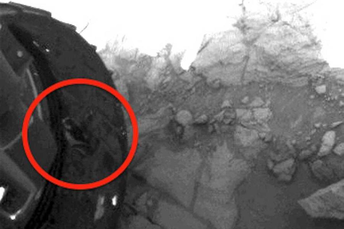 Интернет взорвало видео с крошечным марсианином