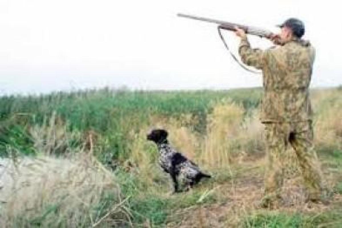 В Донецкой области запретили охоту до окончания АТО В Донецкой области запретили охоту до окончания АТО