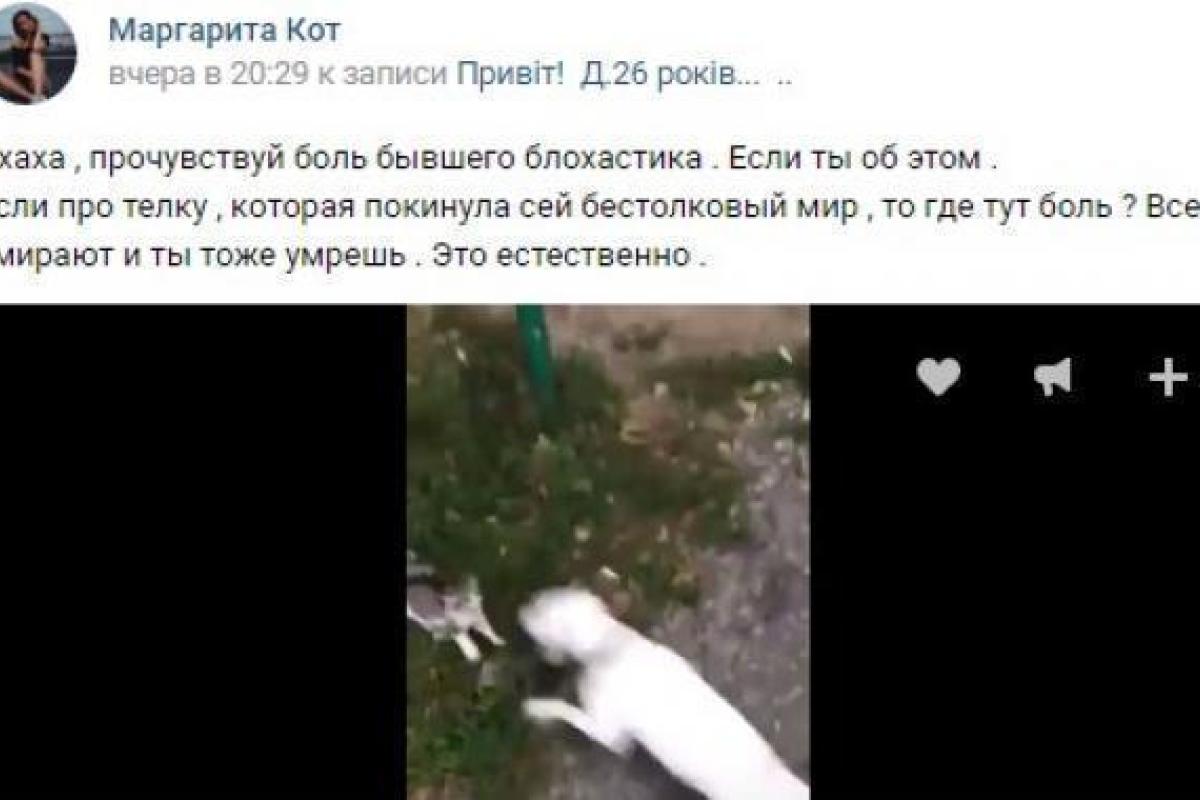 В Харькове избили парня, который натравил бультерьера на котенка В Харькове избили парня, который натравил бультерьера на котенка