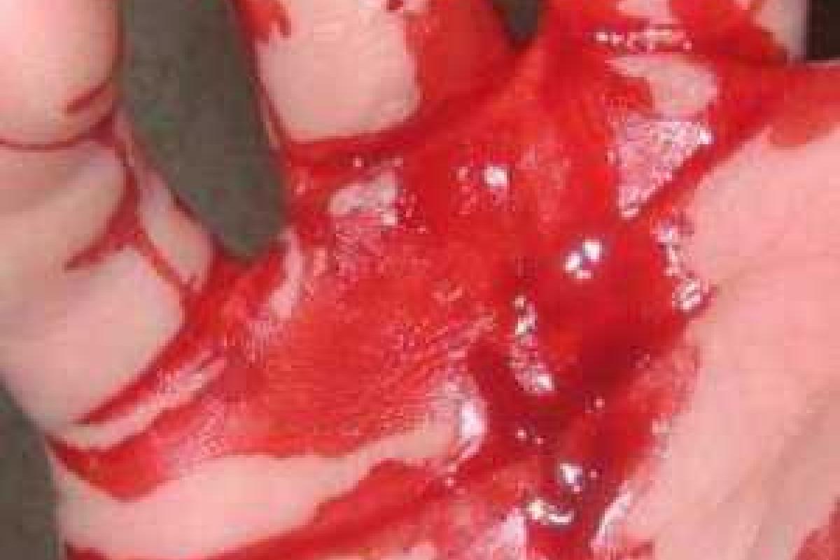 Киевлянин выстрелил себе в живот и оставил предсмертную записку Киевлянин выстрелил себе в живот и оставил предсмертную записку