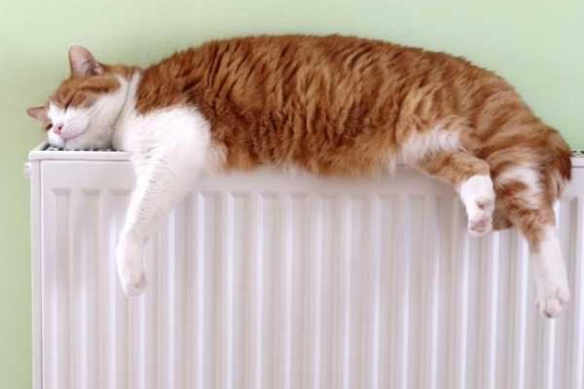 Украинцы останутся без сэкономленных за прошлый отопительный сезон средств