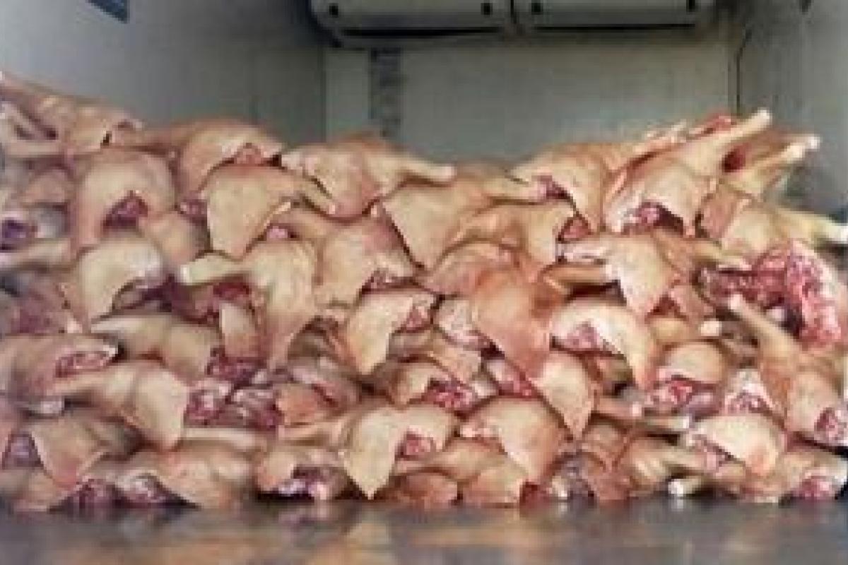 Жителей «ДНР» обещают обеспечить дешевой курятиной