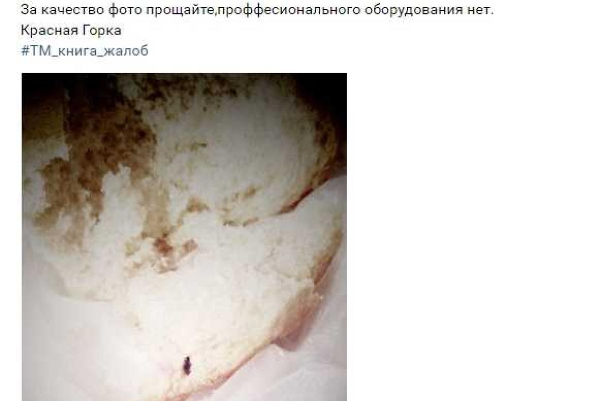 В оккупированной Макеевке продают хлеб с "гнидами" В оккупированной Макеевке продают хлеб с "гнидами"