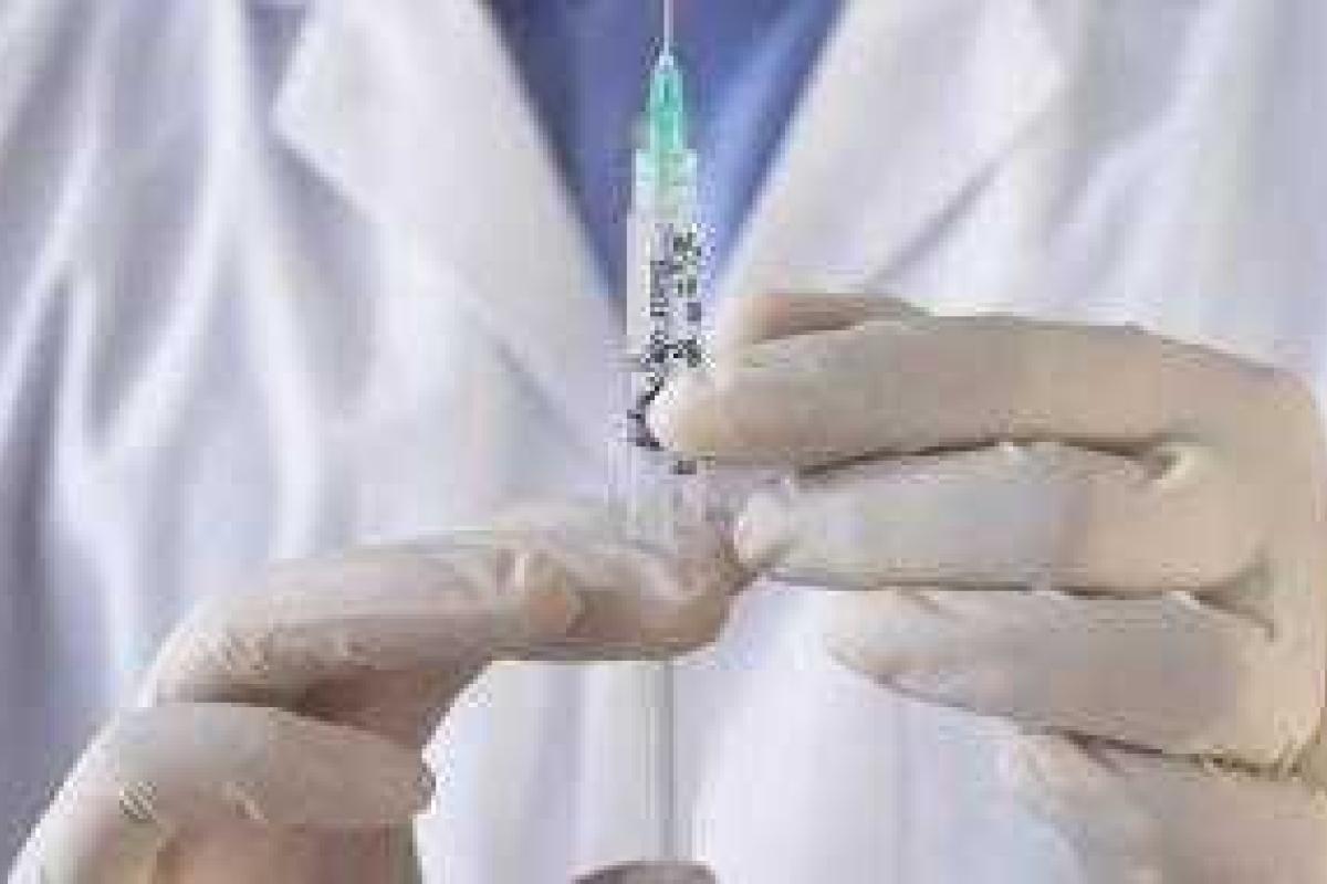 В России ребенка укусила собака: врачи вместо прививки посоветовали сходить в церковь В России ребенка укусила собака: врачи вместо прививки посоветовали сходить в церковь