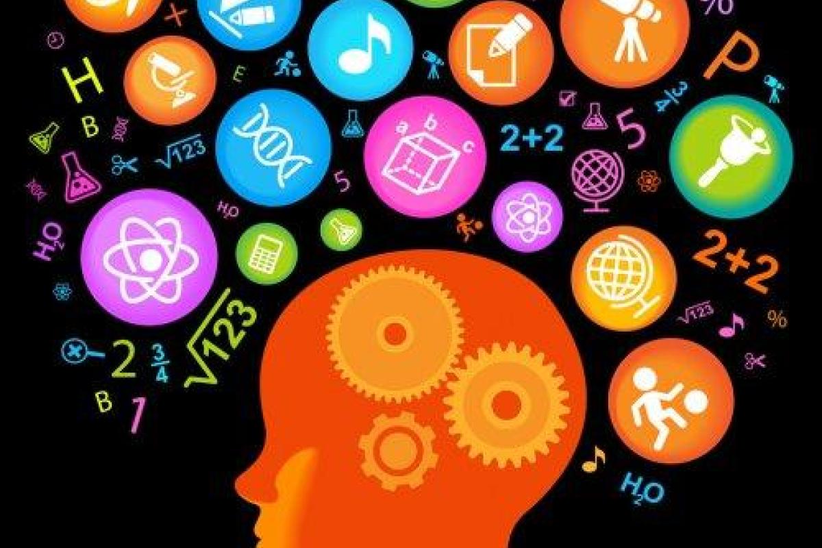 Показатель IQ не связан с уровнем интеллекта человека - психолог Показатель IQ не связан с уровнем интеллекта человека - психолог