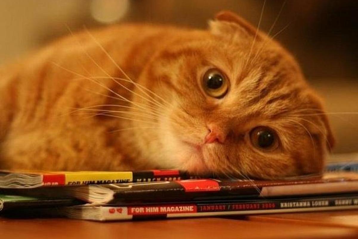 Британські медики з'ясували причину поганого настрою