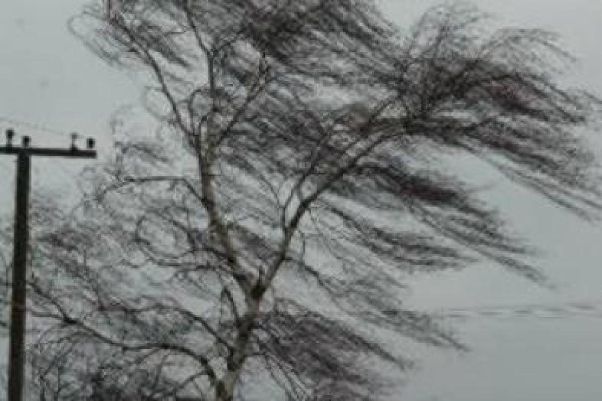 В Мариуполе сильный ветер за ночь обесточил сразу 13 подстанций