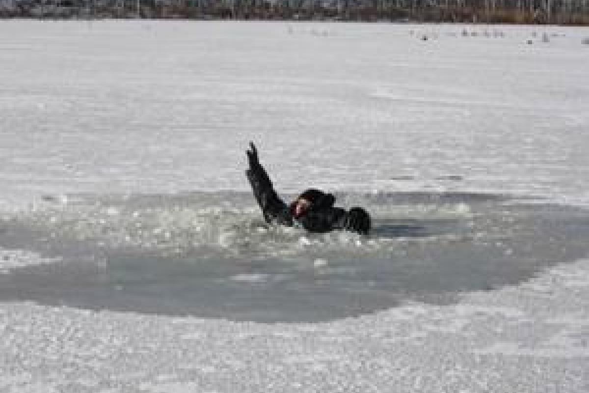 На оккупированной территории Луганщины дети провалились под лед и погибли