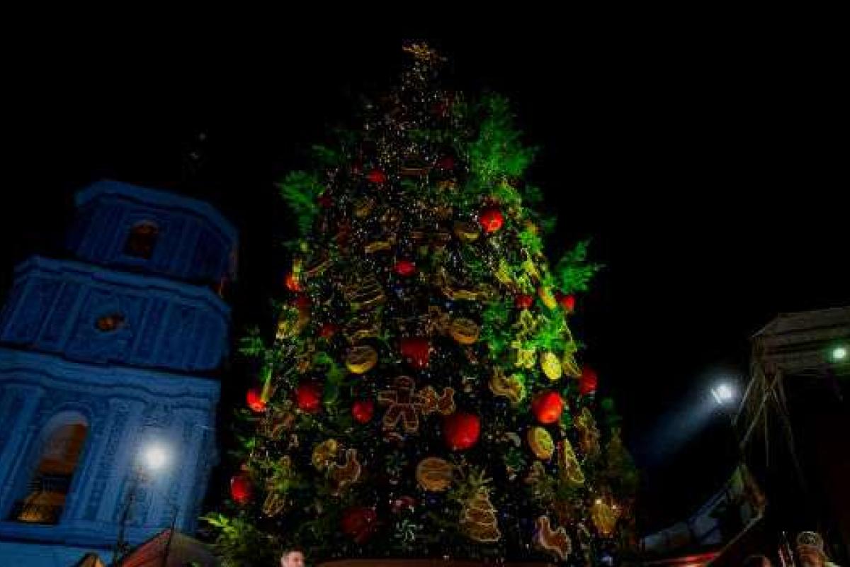 Главную новогоднюю елку страны доставят в столицу уже 3 декабря Главную новогоднюю елку страны доставят в столицу уже 3 декабря