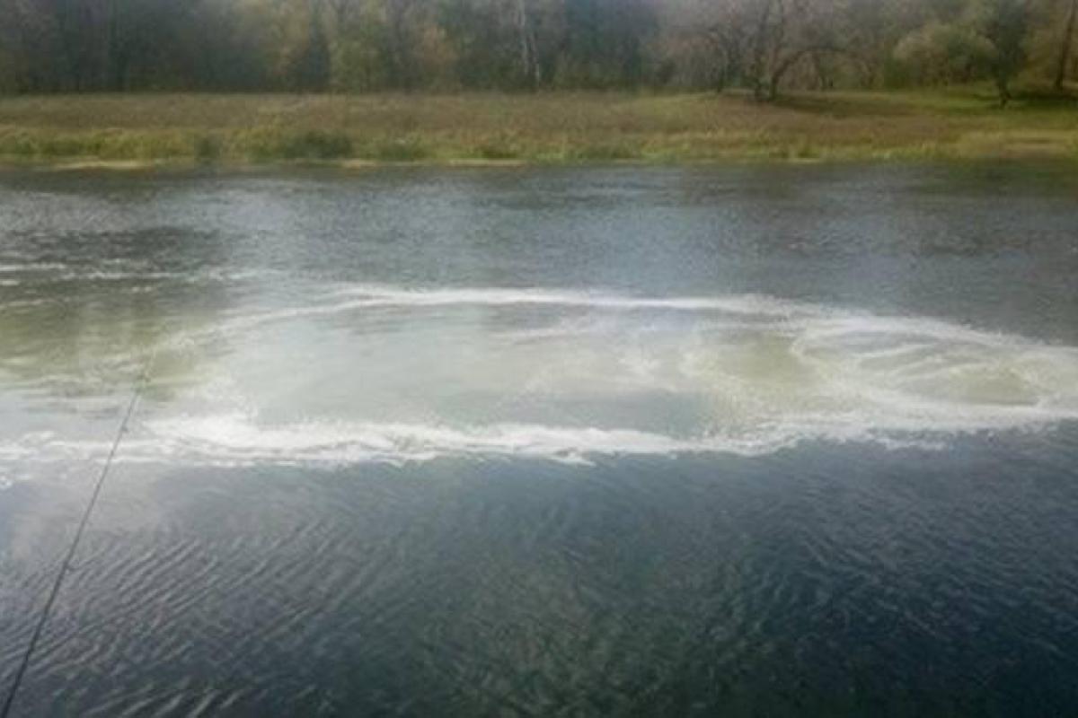 В Луганской области химпредприятие отравило реку Северский Донец В Луганской области химпредприятие отравило реку Северский Донец