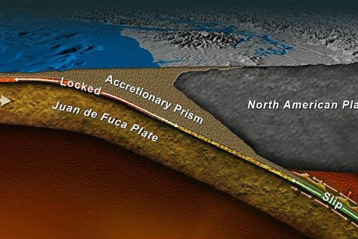 У Новій Зеландії почалися "повільні землетруси" У Новій Зеландії почалися "повільні землетруси"