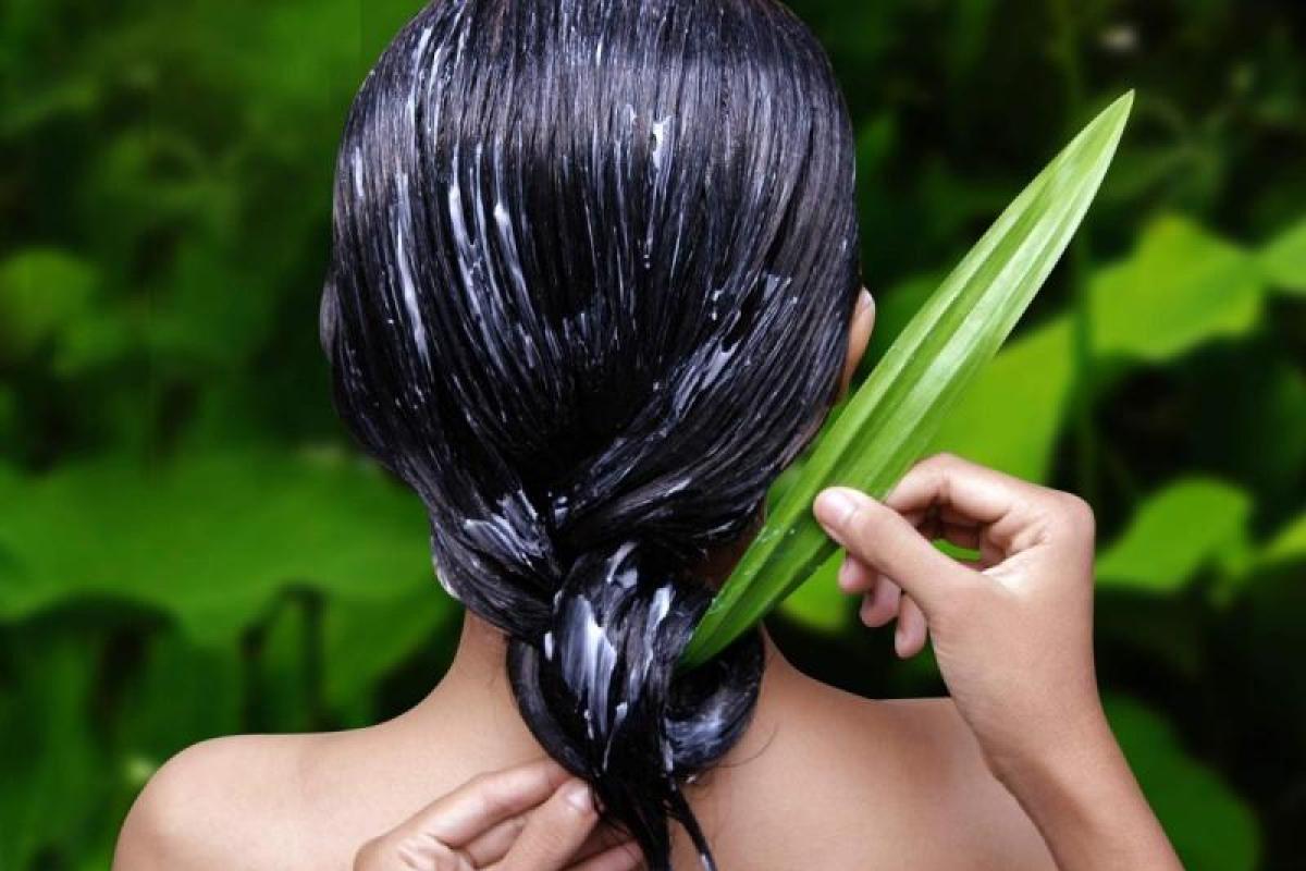 Натуральные маски, которые помогут вылечить ваши волосы 