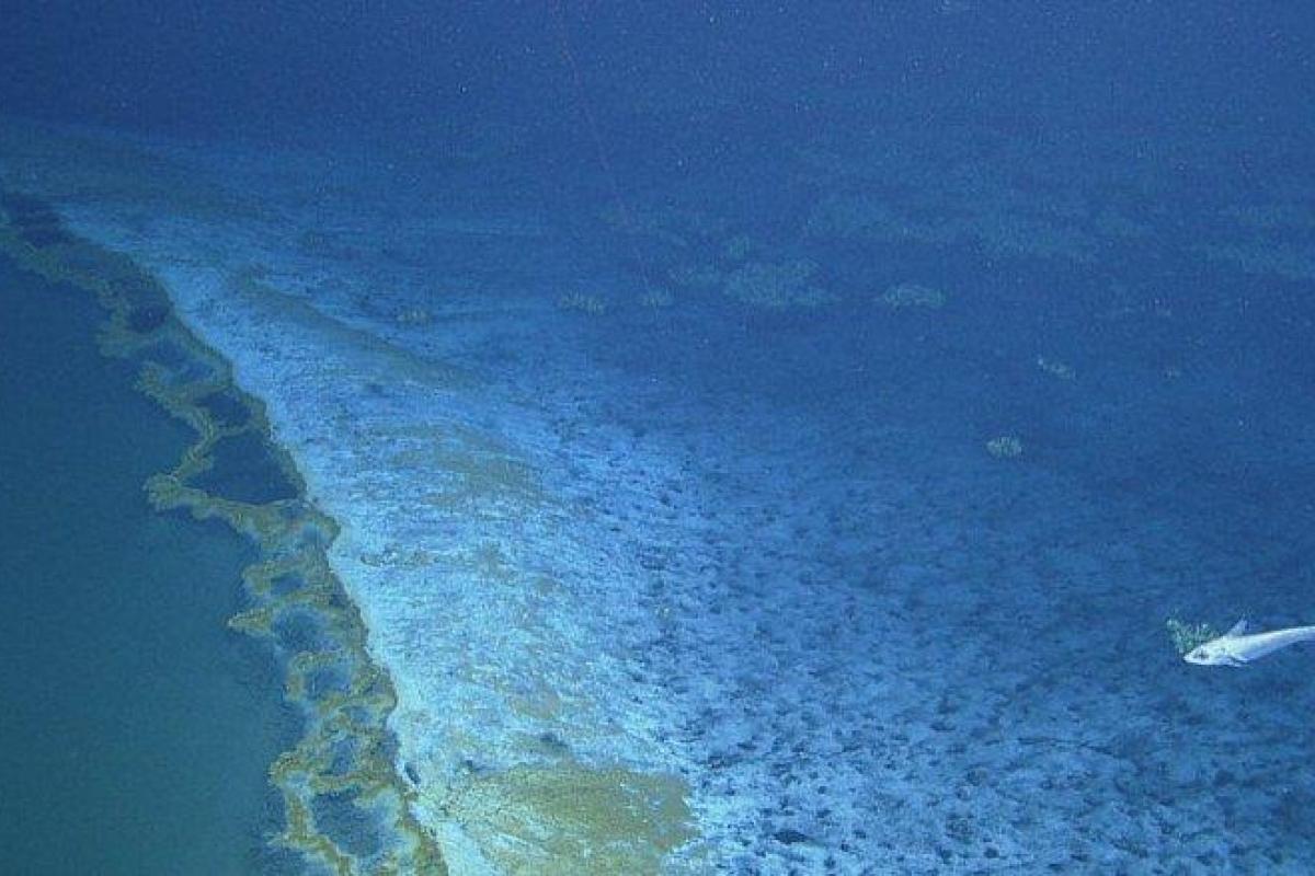 Ученые нашли подводное озеро, которое крушит корабли в Бермудском треугольнике