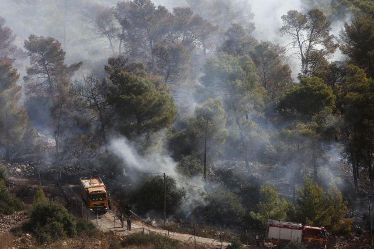 Пожары в Израиле потушены: правительство подсчитывает колоссальные убытки Пожары в Израиле потушены: правительство подсчитывает колоссальные убытки