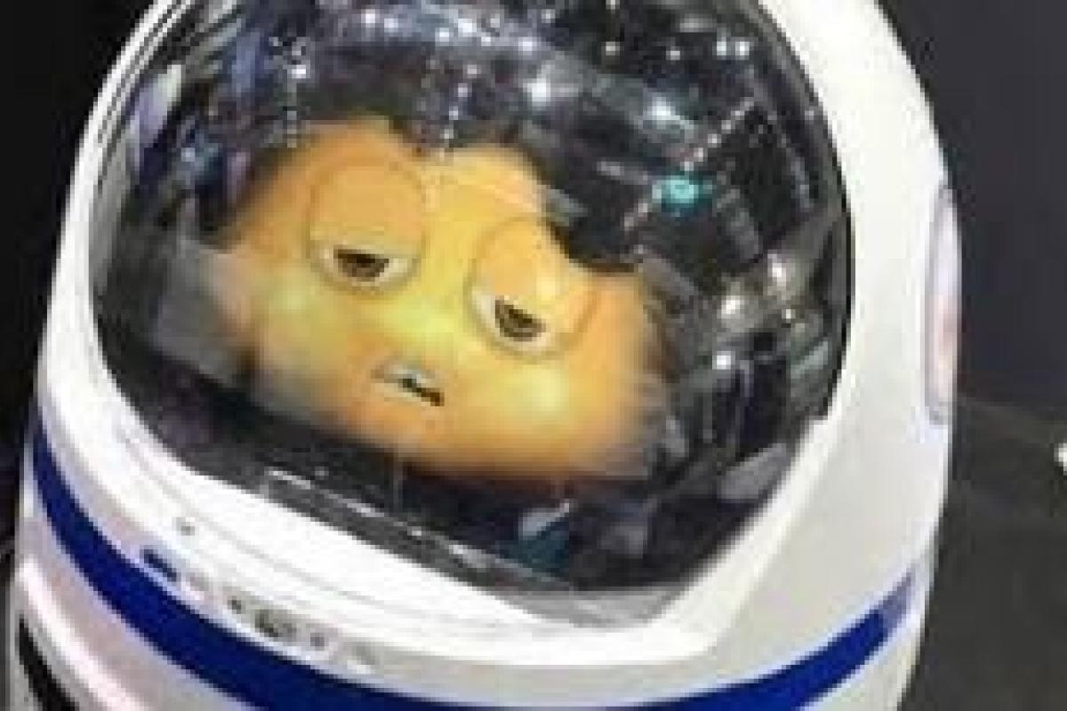 Китайский робот внезапно атаковал человека Китайский робот внезапно атаковал человека