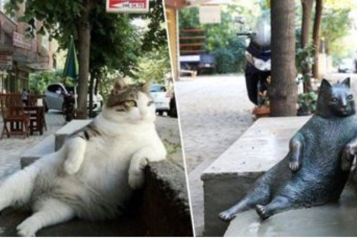 У Стамбулі поцупили пам'ятник знаменитому коту Томбілі У Стамбулі поцупили пам'ятник знаменитому коту Томбілі
