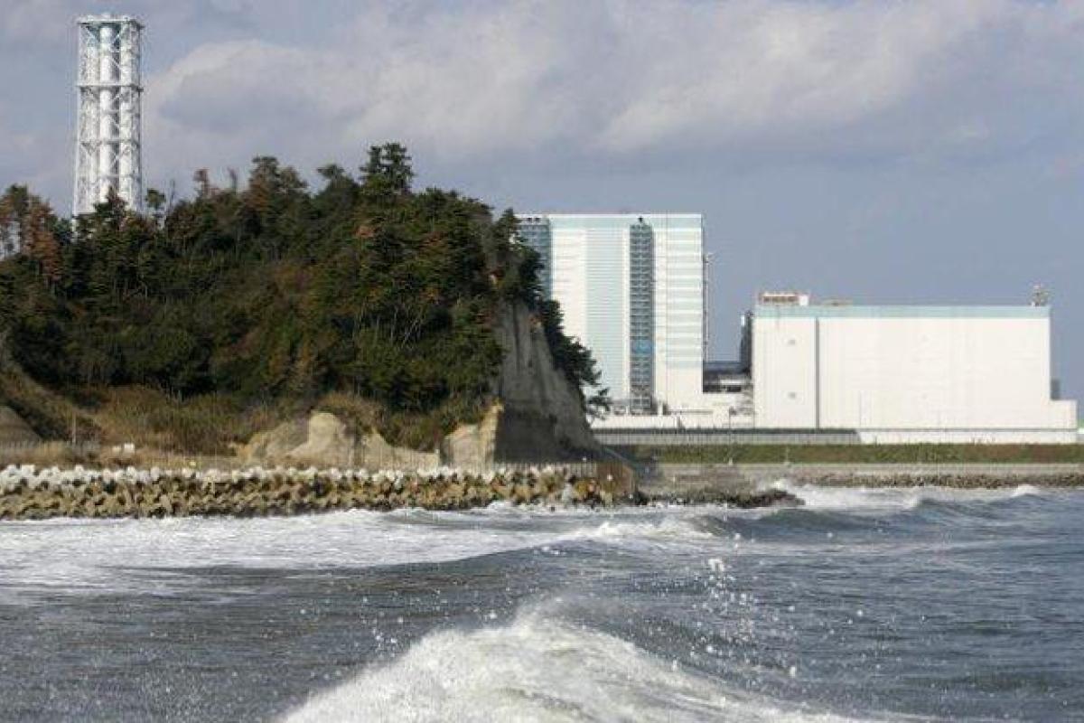 После землетрясения в Новой Зеландии дно океана стало сушей: опубликовано видео После землетрясения в Новой Зеландии дно океана стало сушей: опубликовано видео