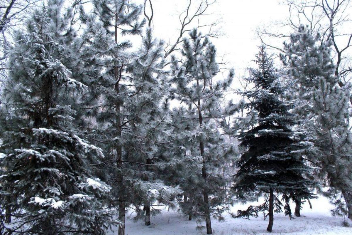 В Сети появились фото зимнего Мариуполя 