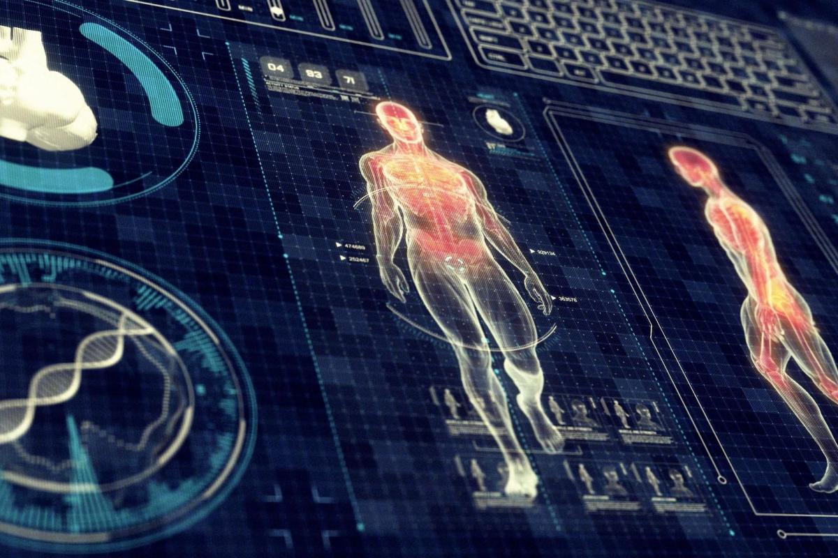 Ученые выявили в организме человека новый орган