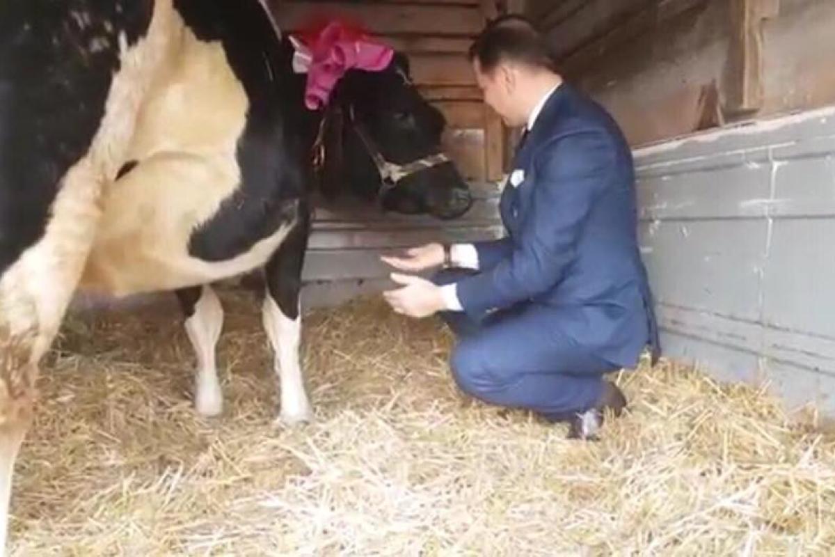 Именинник Ляшко передарил свой подарок семье переселенцев из Горловки