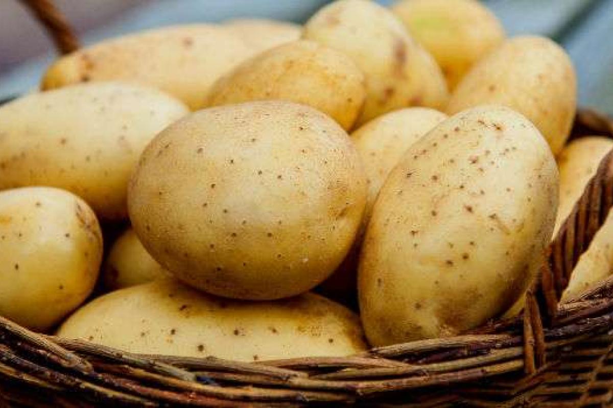 В Украине вырастут цены на картофель - эксперт В Украине вырастут цены на картофель - эксперт