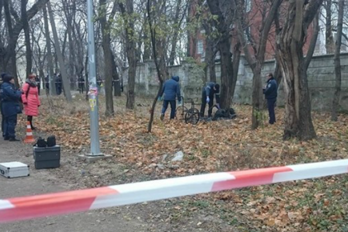 В одесском парке обнаружили обгоревший труп на инвалидной коляске В одесском парке обнаружили обгоревший труп на инвалидной коляске