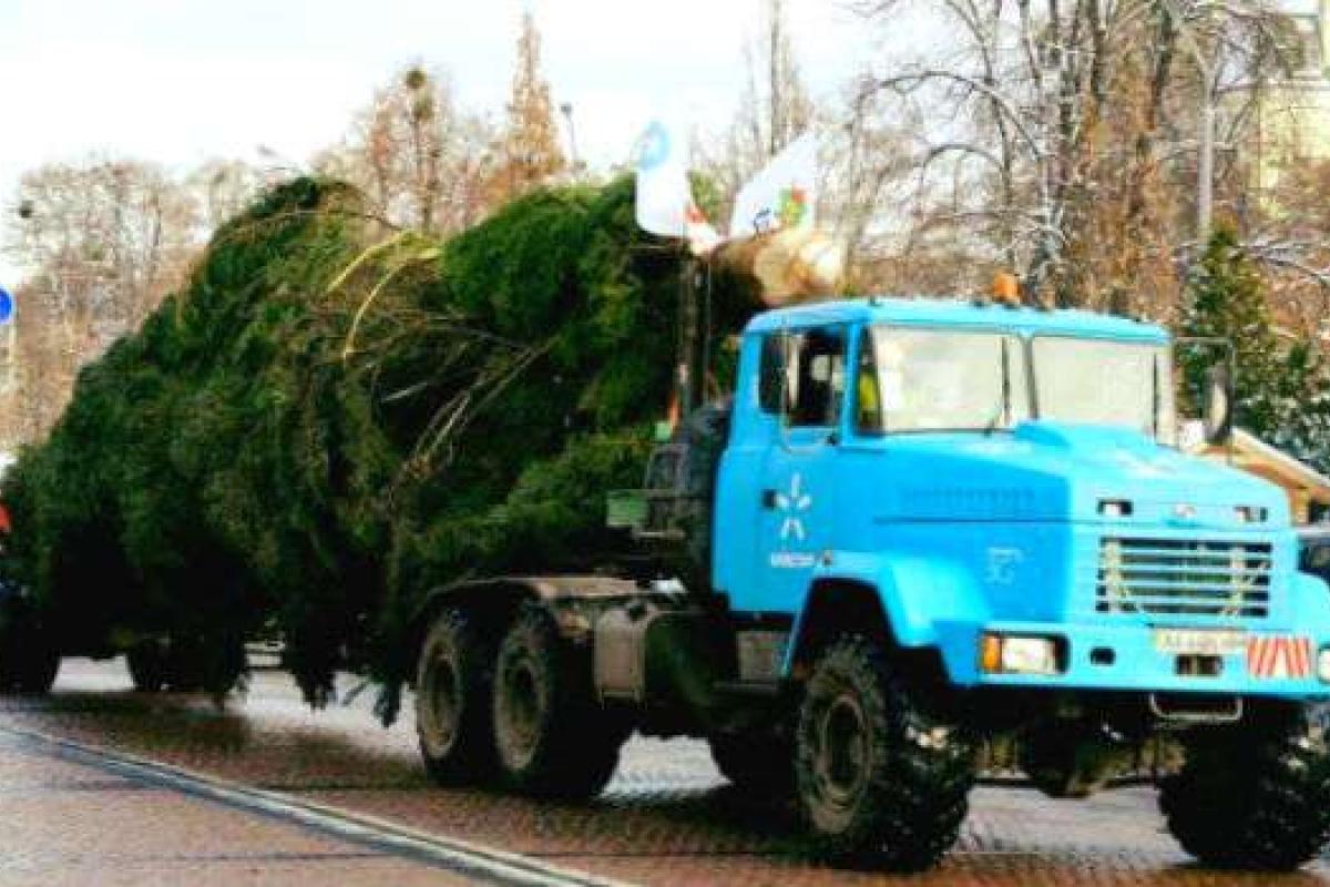 В Киев приехала главная елка страны В Киев приехала главная елка страны