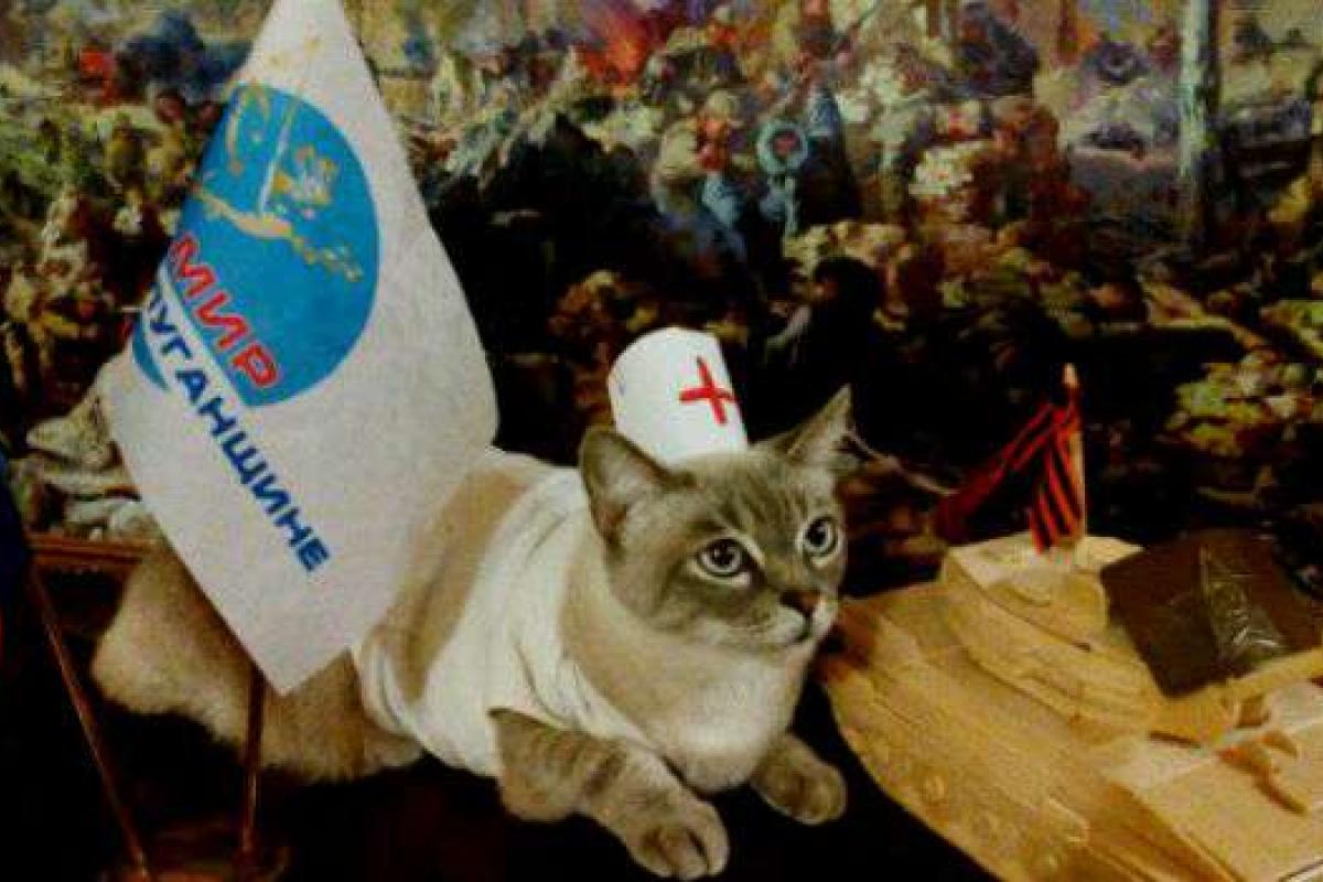 В "ЛНР" выбрали самого "патриотичного" кота В "ЛНР" выбрали самого "патриотичного" кота
