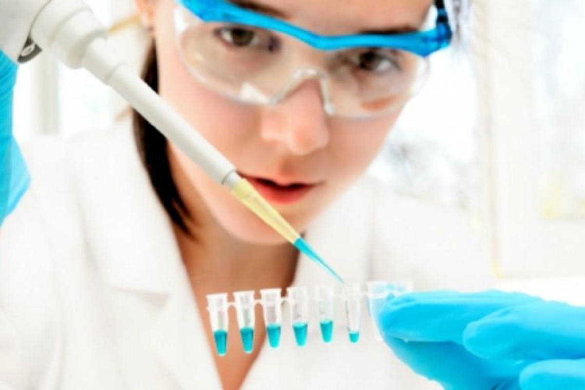 Крушение Ту-154: Родные погибших сдали анализы ДНК для идентификации тел Крушение Ту-154: Родные погибших сдали анализы ДНК для идентификации тел