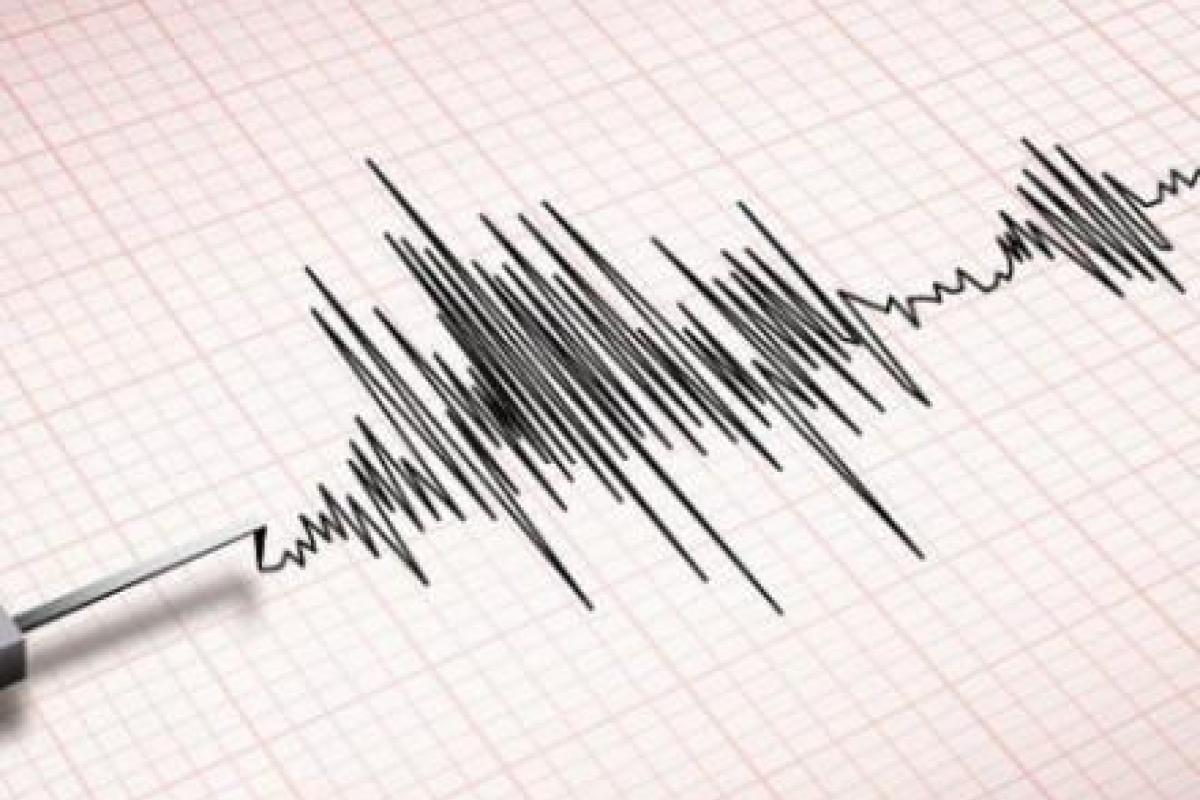 В Папуа-Новой Гвинее произошло мощное землетрясение: информации о разрушениях нет