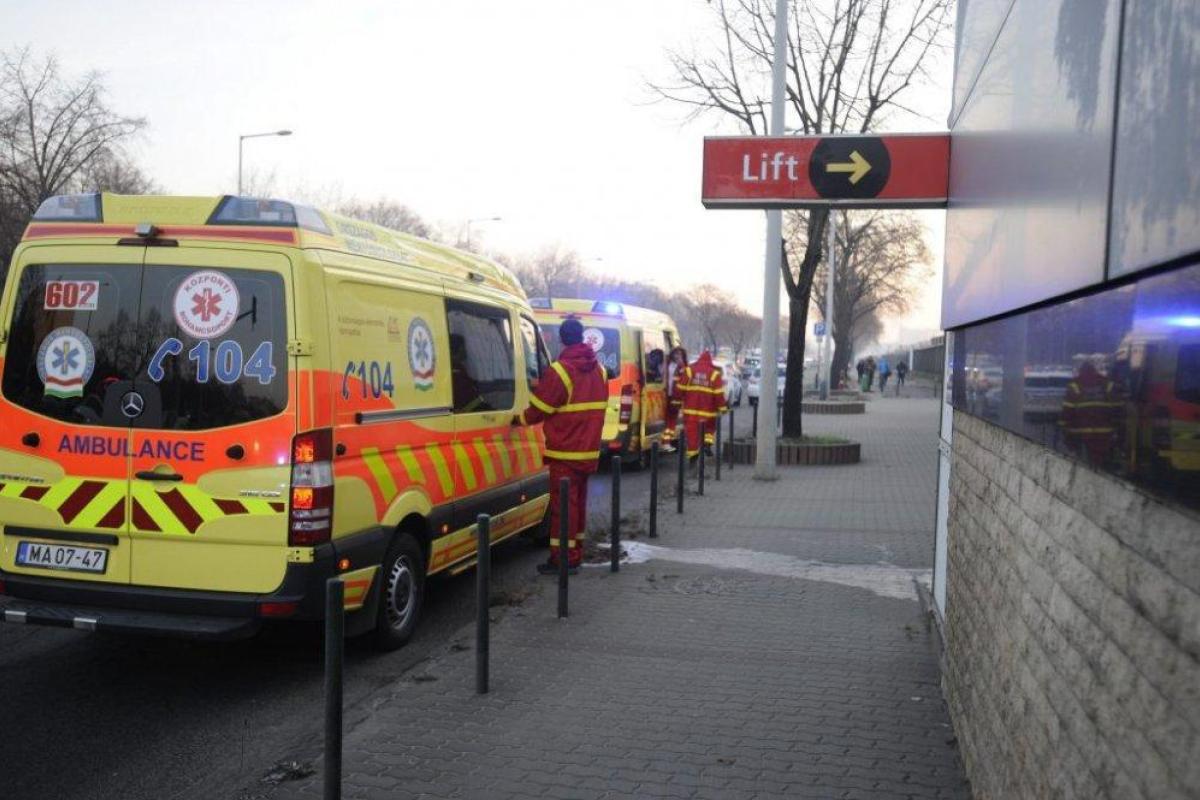 Крупное ДТП в Венгрии, более 30 человек пострадали Крупное ДТП в Венгрии, более 30 человек пострадали