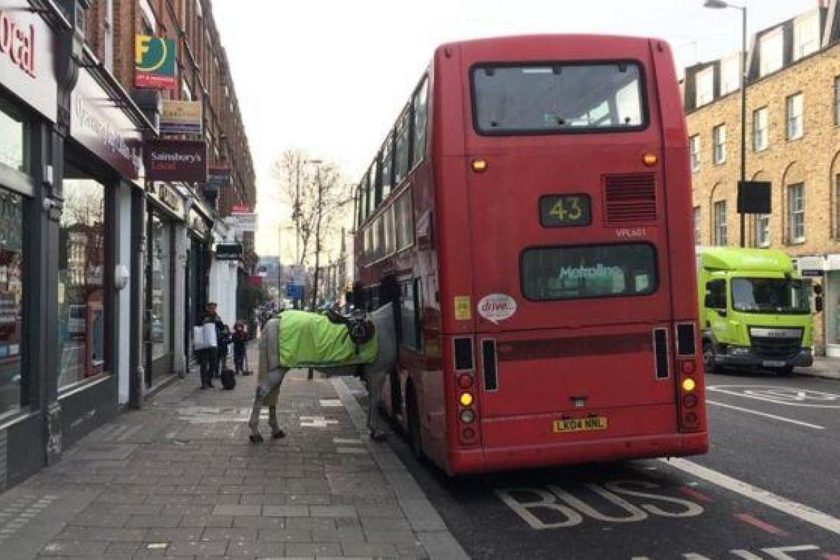 Мэр Лондона сфотографировал коня, который пытался залезть в двухэтажный автобус