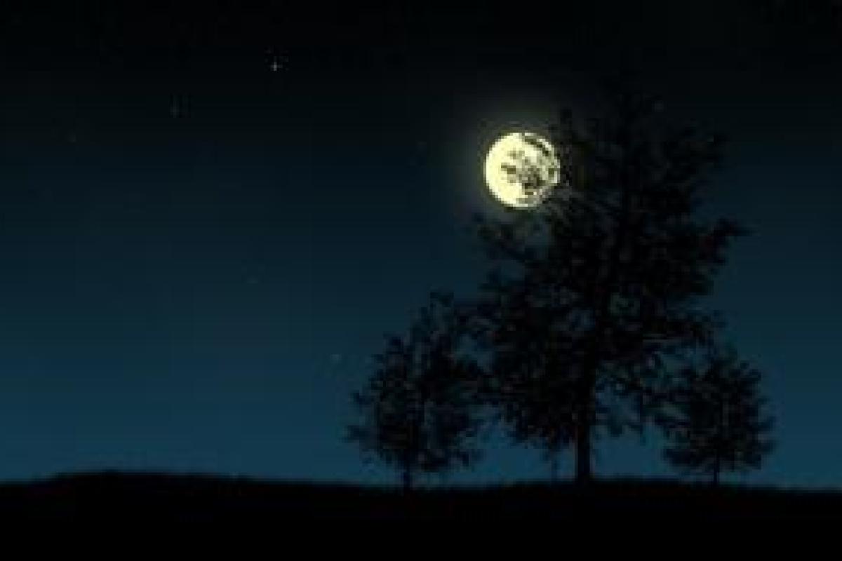 В России предложили укоротить ночи