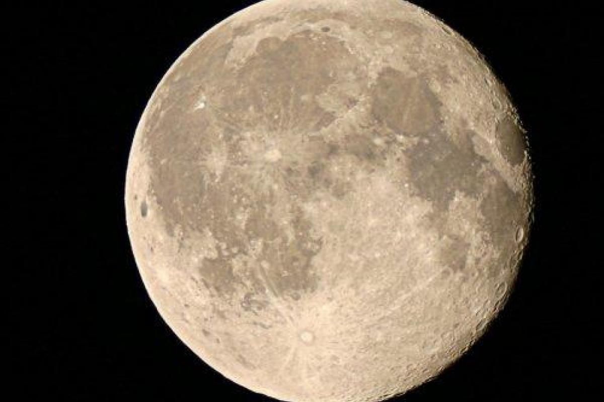 Пять команд из разных стран поучаствуют в гонке на Луну Пять команд из разных стран поучаствуют в гонке на Луну