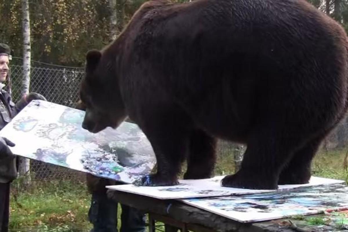 В Финляндии открылась выставка картин, написанных медведем