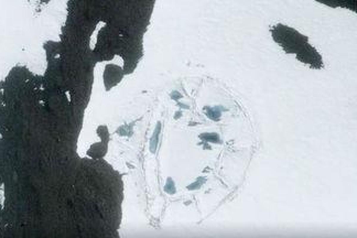 В Антарктиде обнаружили руины таинственного здания В Антарктиде обнаружили руины таинственного здания