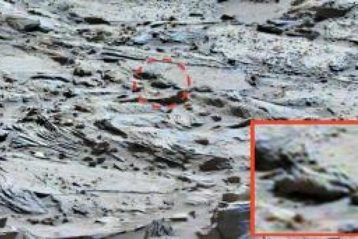 Ученые поразили находкой: на Марсе обнаружен отпечаток стопы пришельца Ученые поразили находкой: на Марсе обнаружен отпечаток стопы пришельца