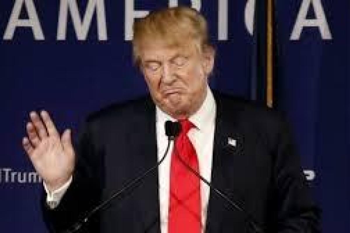 В США назвали полной выдумкой информацию о предстоящей встрече Трампа с Путиным